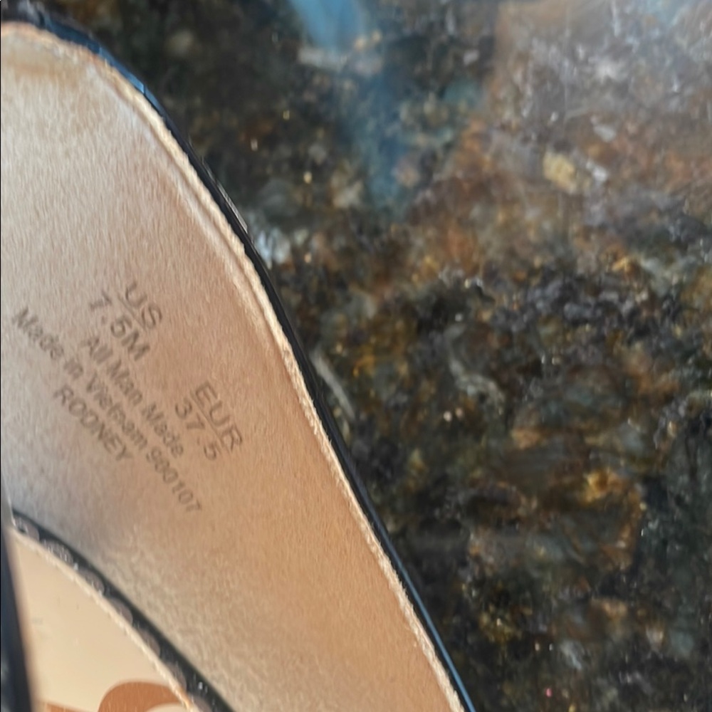 Sam Edelman Black Flats with Pointed Toe and Glossy Finish - Picture 2 of 5